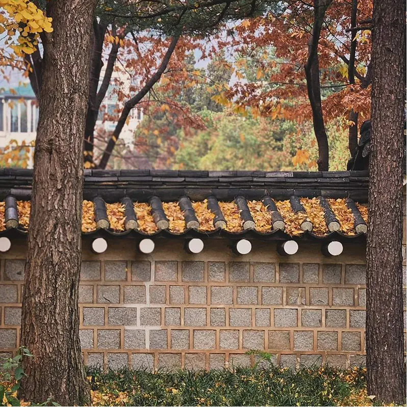 열두달 산책