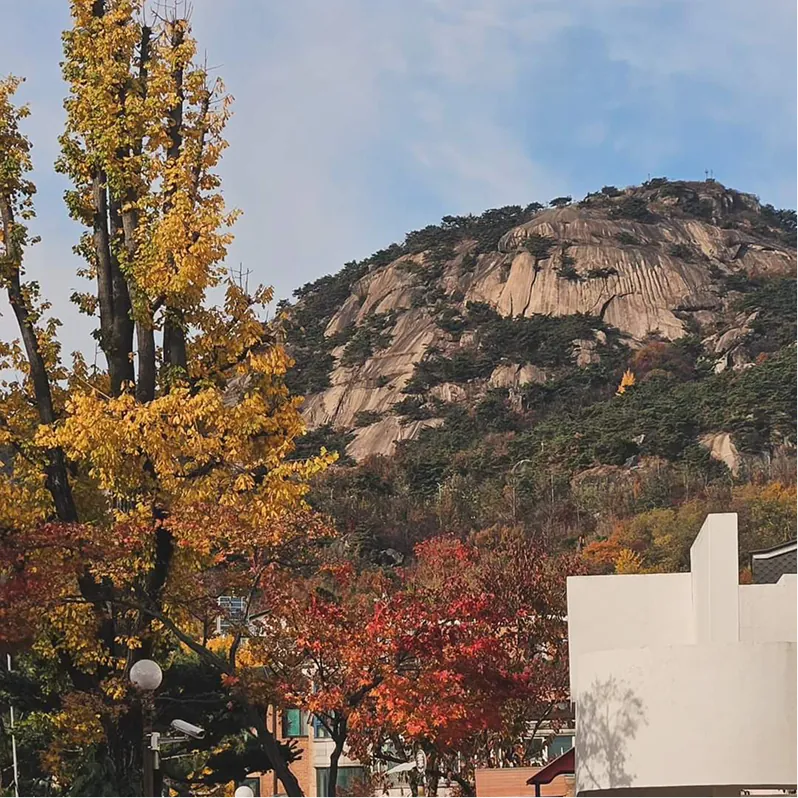 열두달 산책